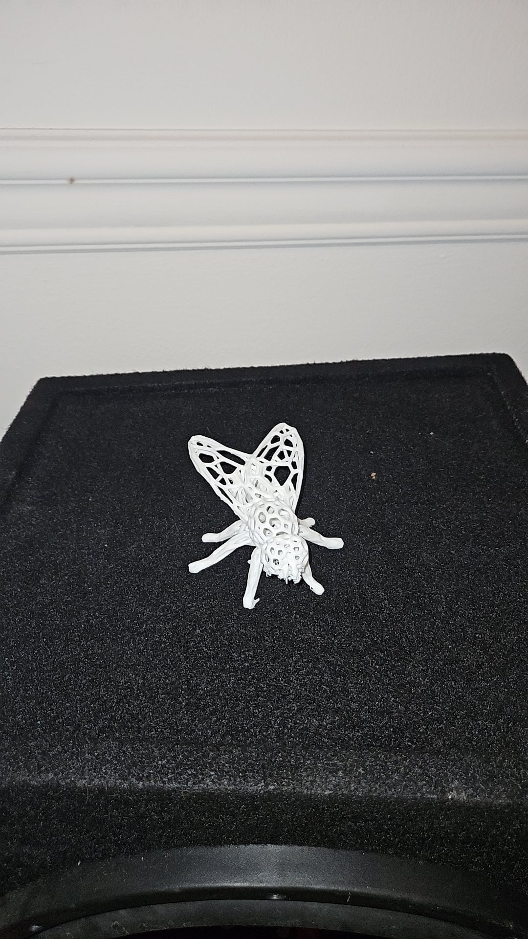 Fly Voronoi