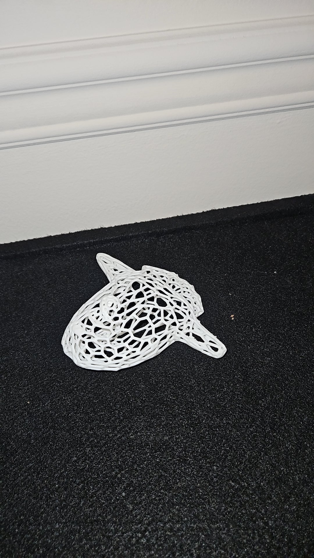 Sunfish Voronoi