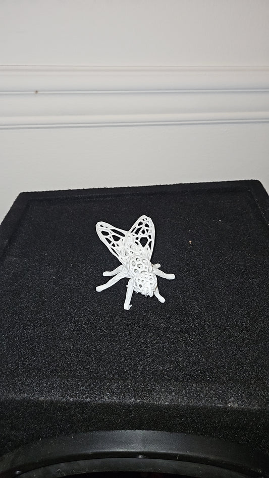 Fly Voronoi