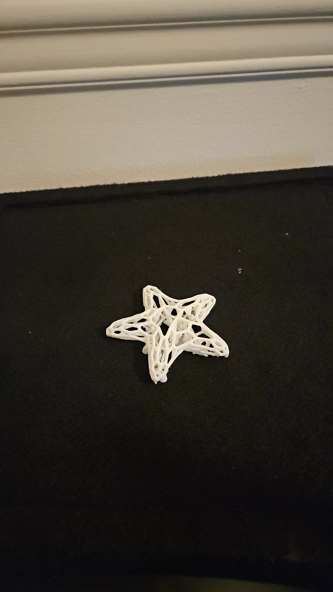 Starfish Voronoi